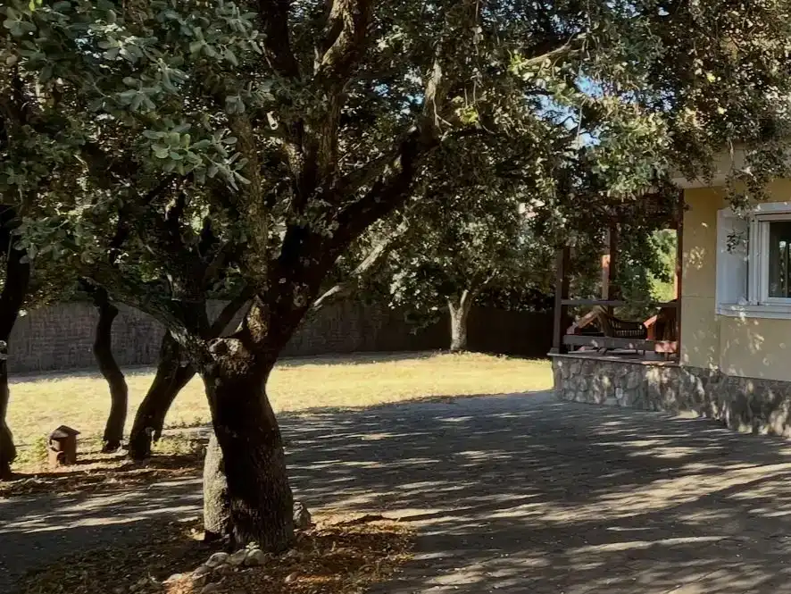 Jardí de Casa o xalet en venda en Galapagar amb Aire condicionat, Jardí privat i Traster