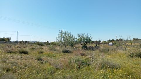 Foto 3 de Terreny en venda a La Alcoraya, Alicante / Alacant