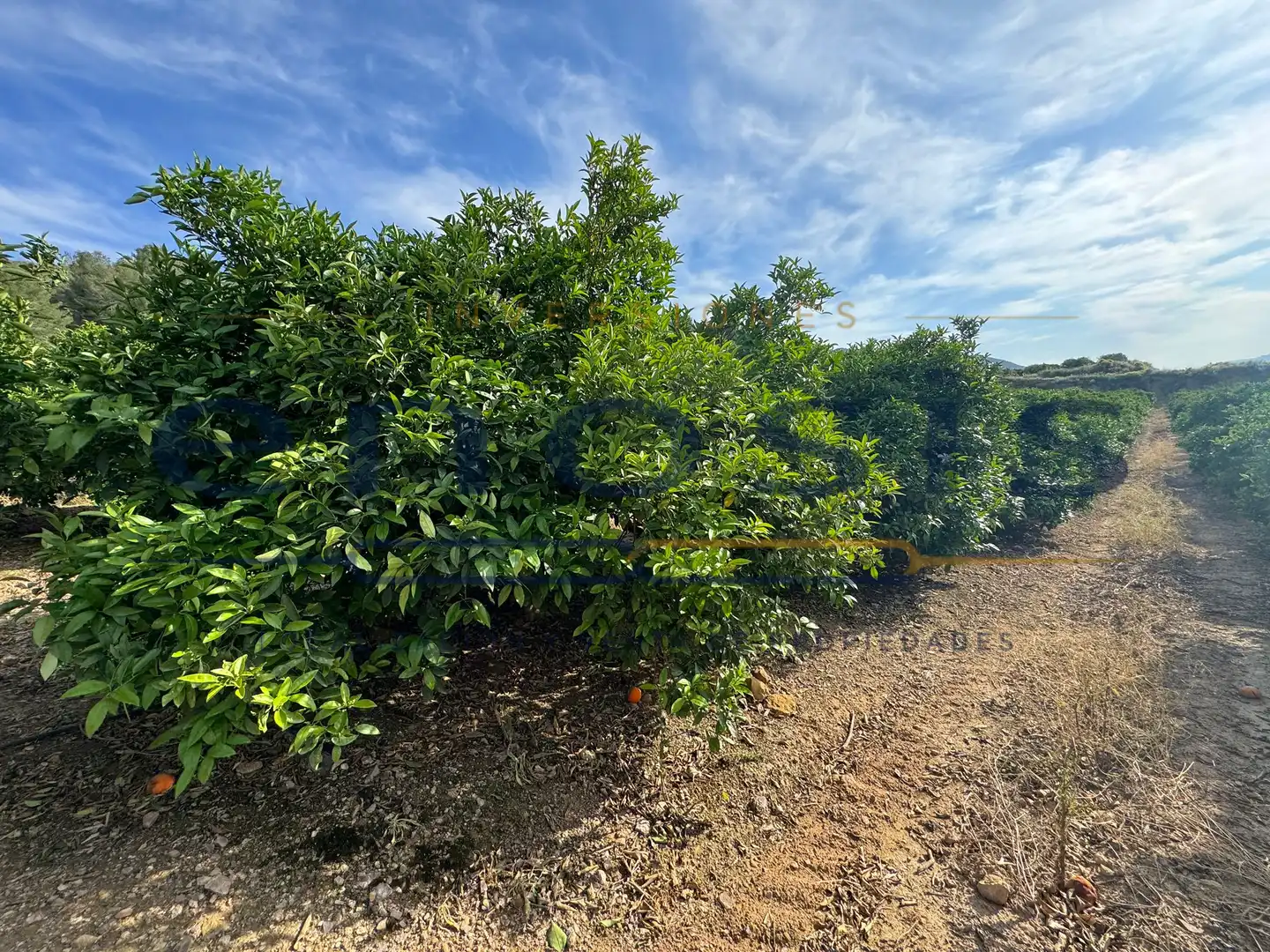 Grundstücke zum Verkauf in Alhama de Murcia