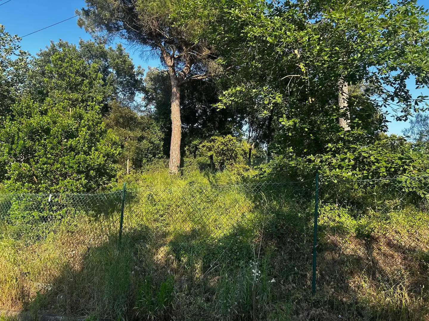 Residential land for sale in Residencial Park, imagen 23