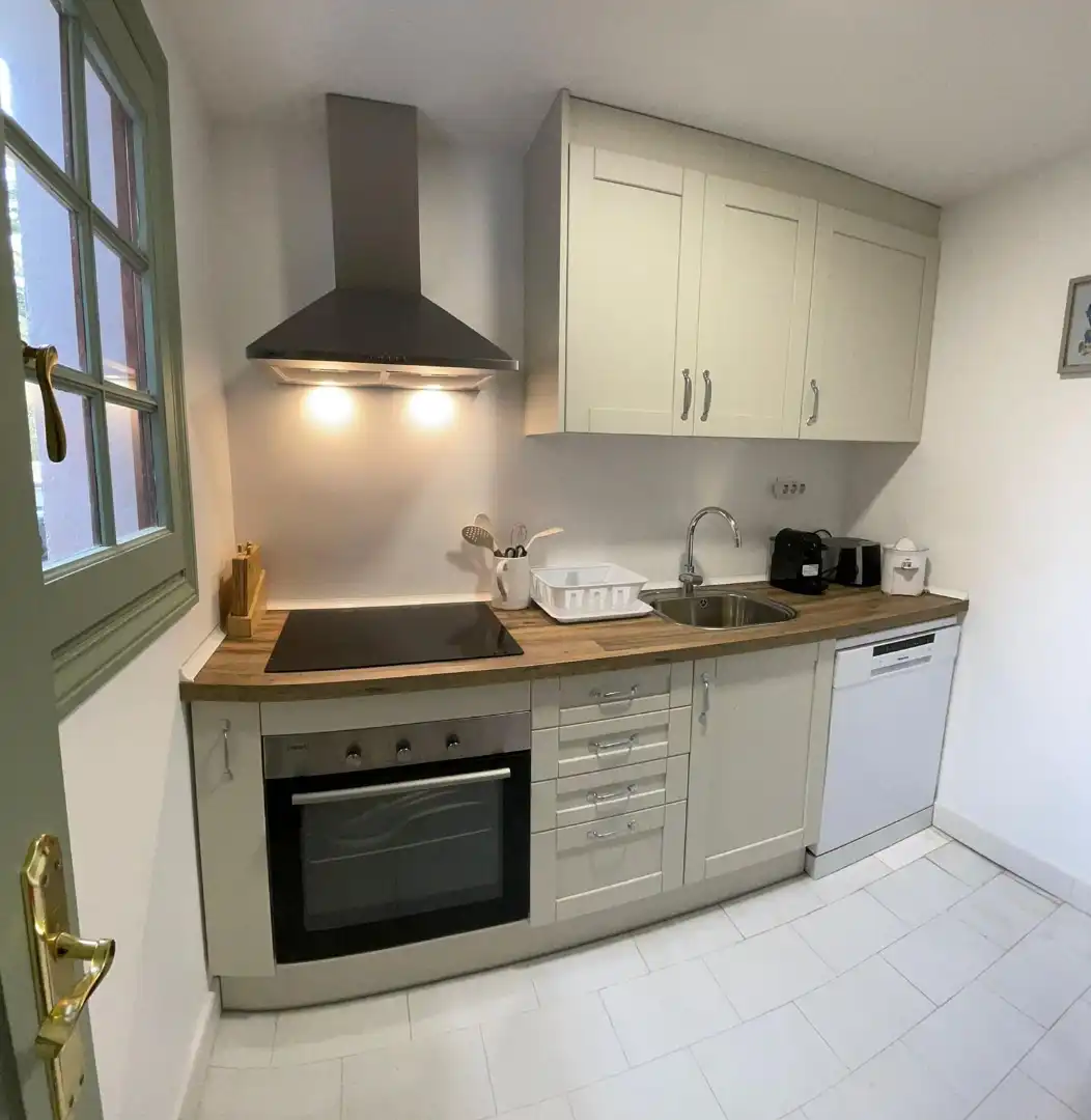 Kitchen of Duplexes for rent in San Pedro de Alcántara
