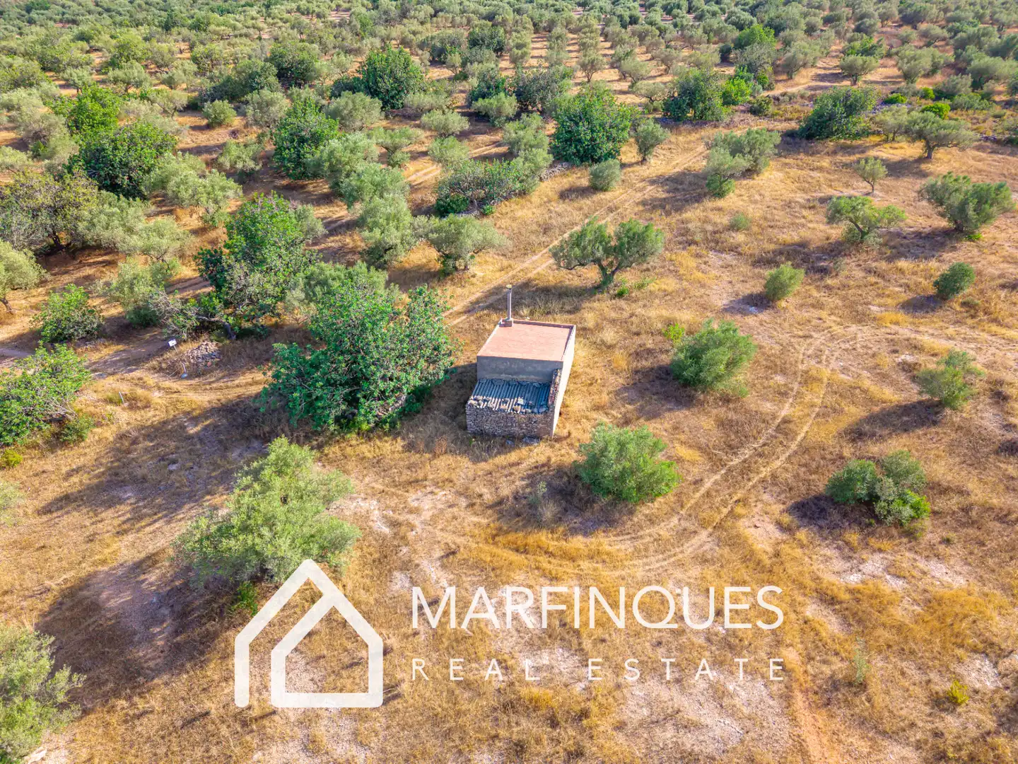 Terreno rustico in vendita a San Rafael del Río, imagen 5