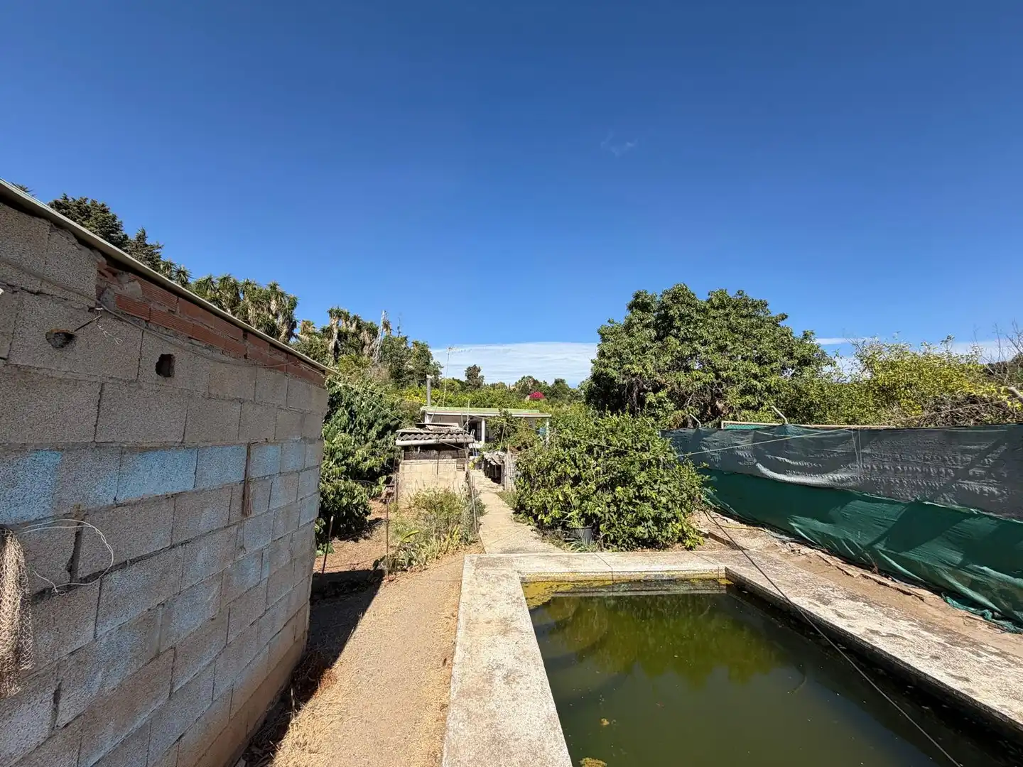 Jardín de Residencial en venta en Selwo