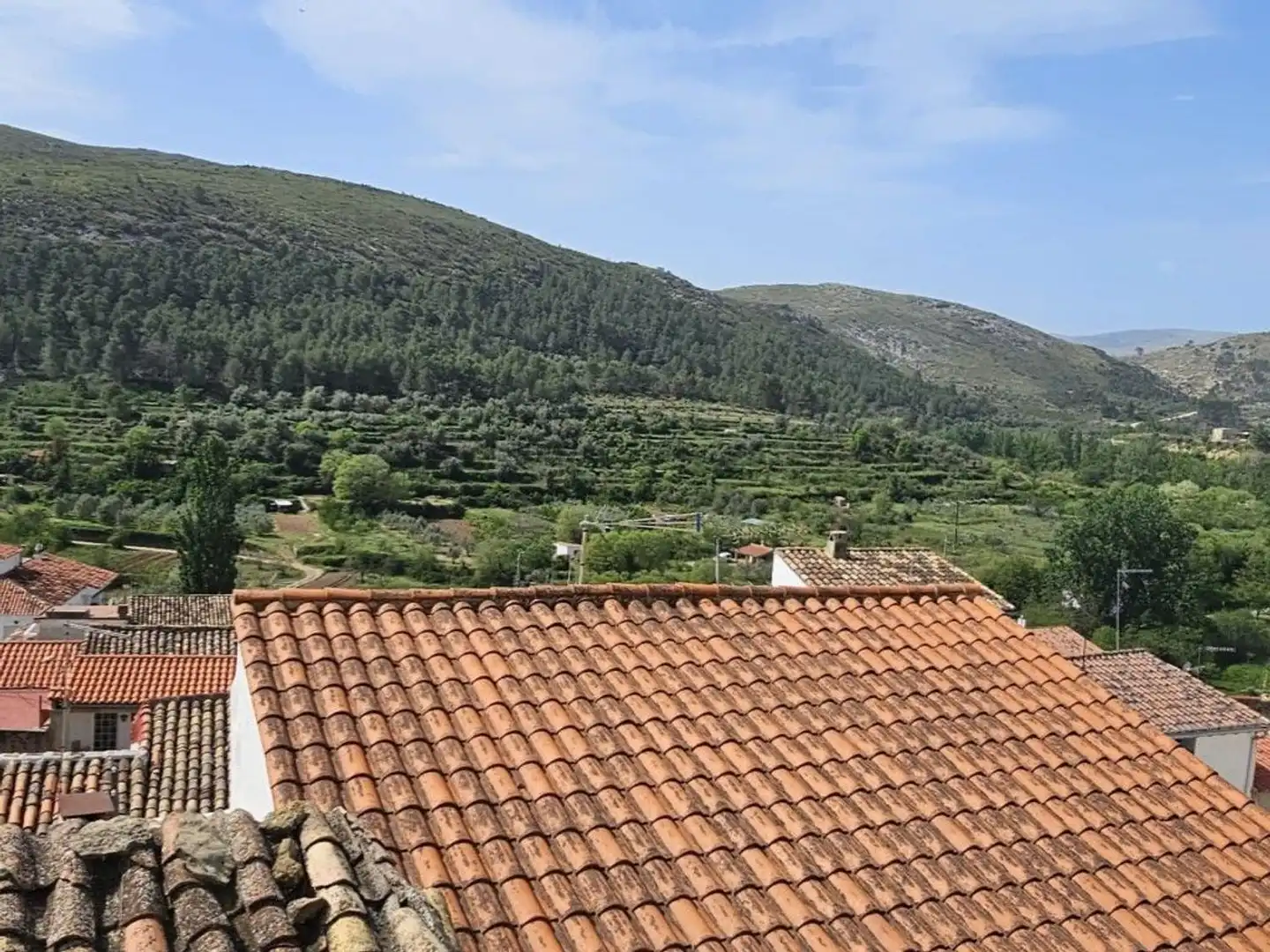 Casa rústica amb terrassa en venda a Teresa, imagen 27