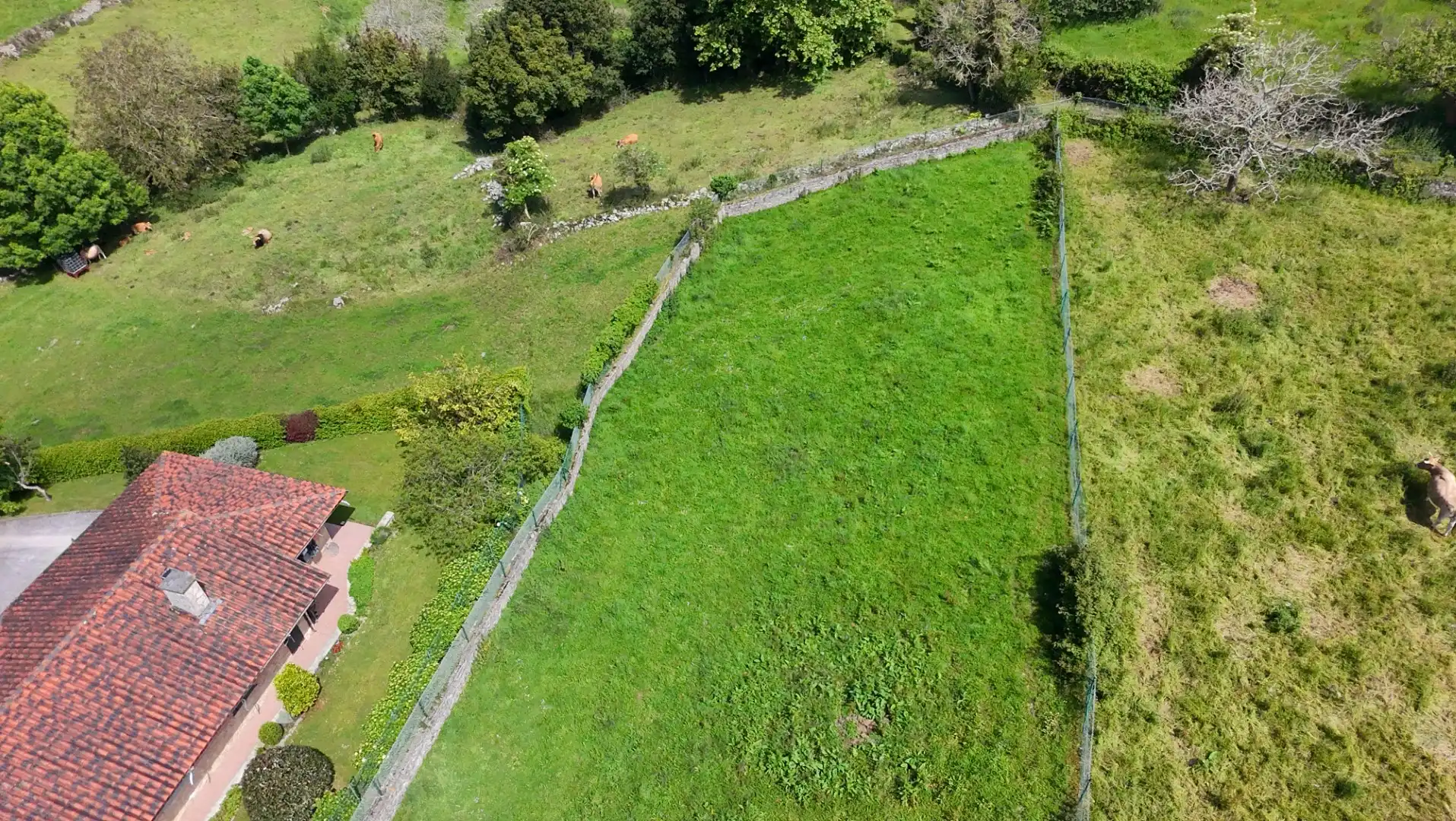 Terreno residencial en venta en Calle Porrua 32A, imagen 14