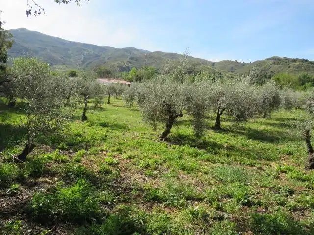 Terreno en venta en Cenes de la Vega