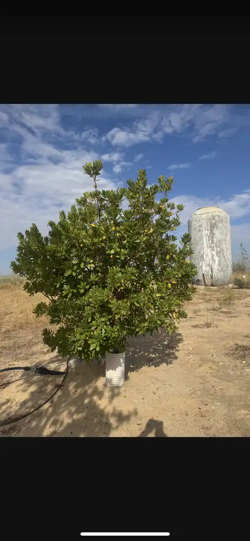 Terreno en venta en Bargas