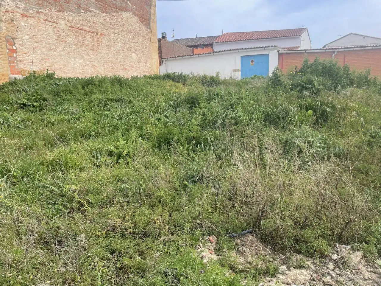 Terreni e lotti in vendita a Felipe García Ufano, imagen 2