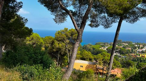 Foto 4 de Residencial en venda a Santa Cristina - Sant Francesc, Blanes