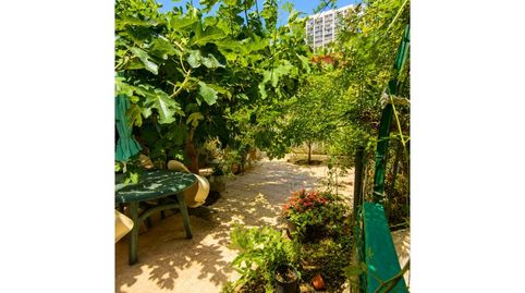 Foto 3 de Casa o chalet en venta en Avenida Andalucia, Juzgados - Plaza de Toros, Benidorm