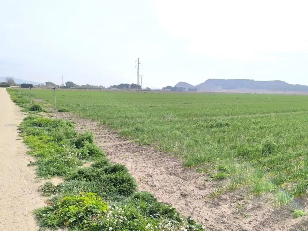 Residential land for sale in El Rabal, imagen 16