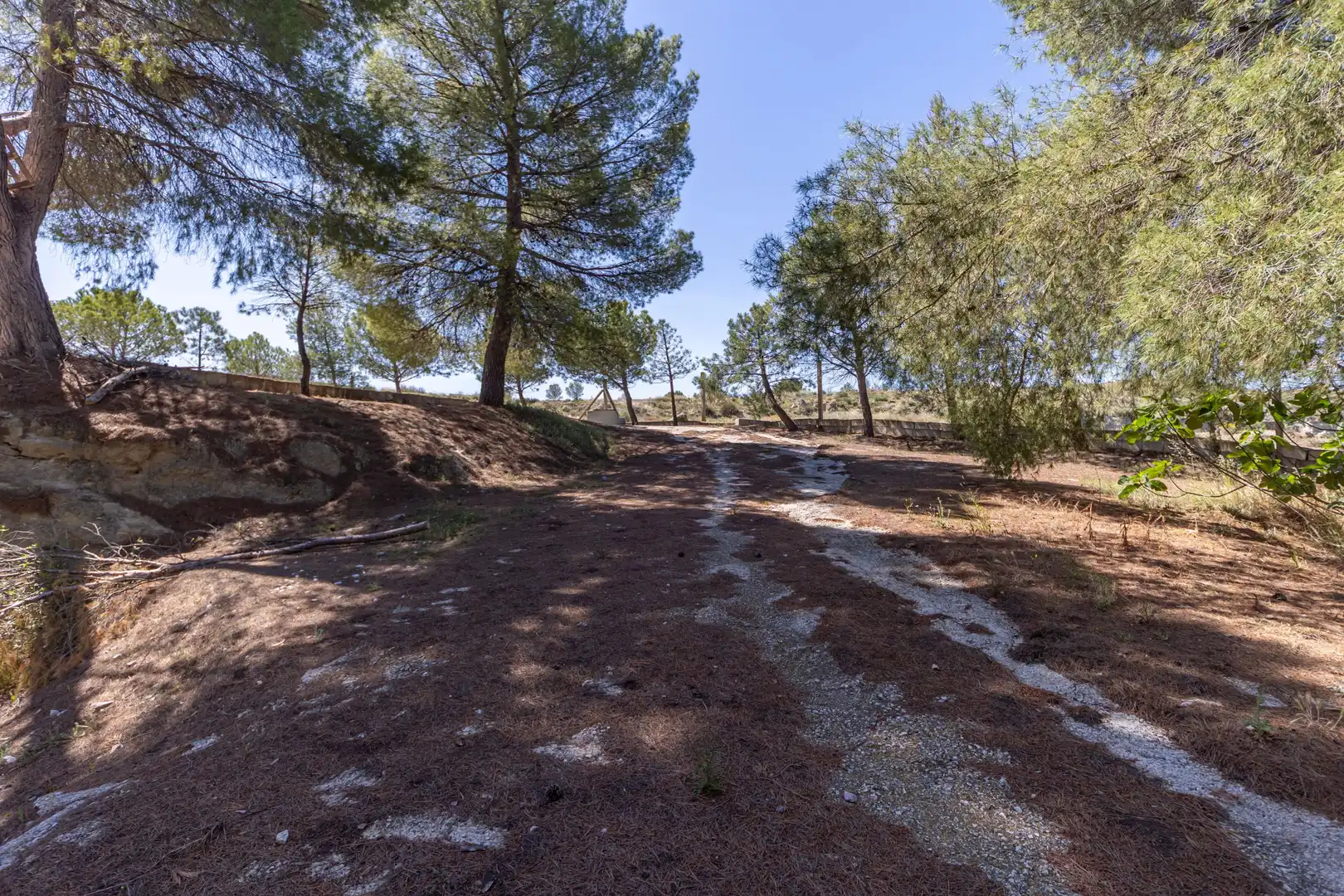 Country homes for sale in Calle María Zayas, Benamaurel