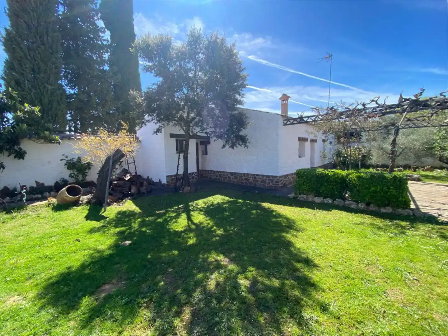 Jardín de Casa o chalet en venta en Viso del Marqués