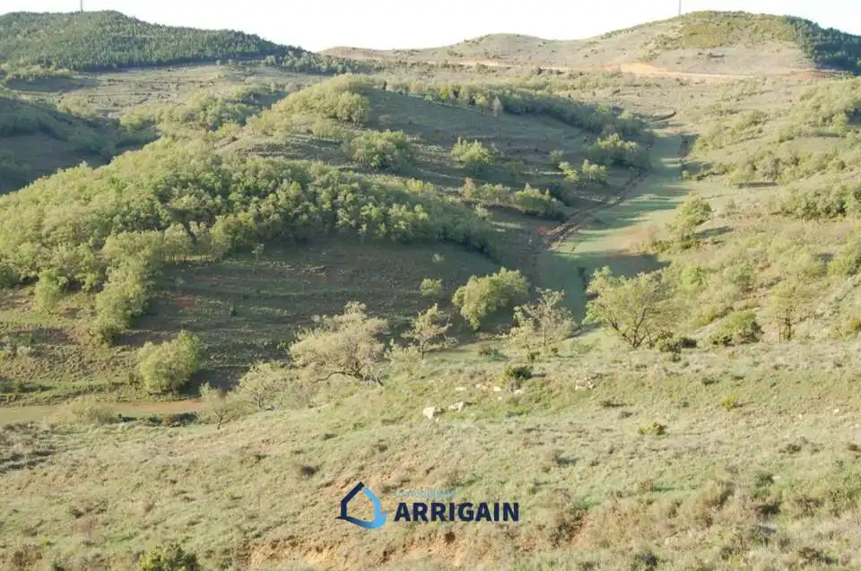Casa o chalet en venta en La Moraleja con Jardín privado