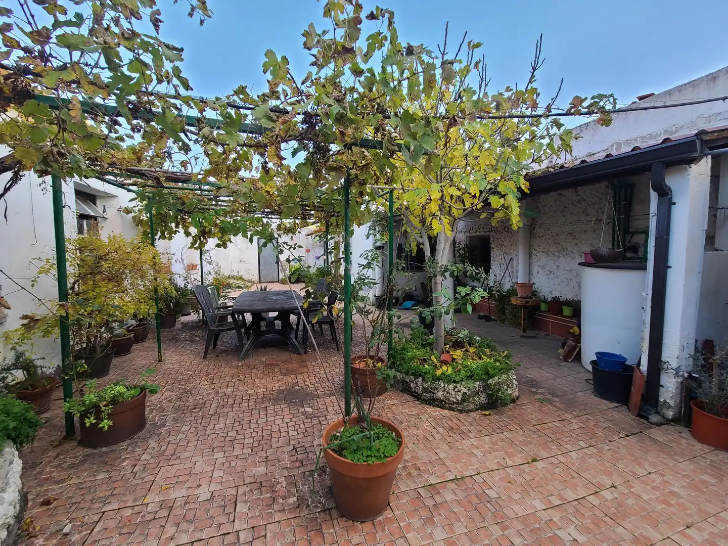 Nave industrial en venta en La Victoria - Puente Jardín, imagen 6