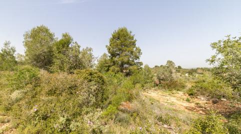 Foto 4 von Residential zum Verkauf in Calle de la Malaguenya, 587, Montserrat, Valencia