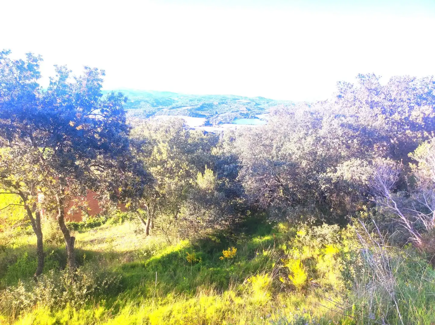 Residential for sale in Barbastro