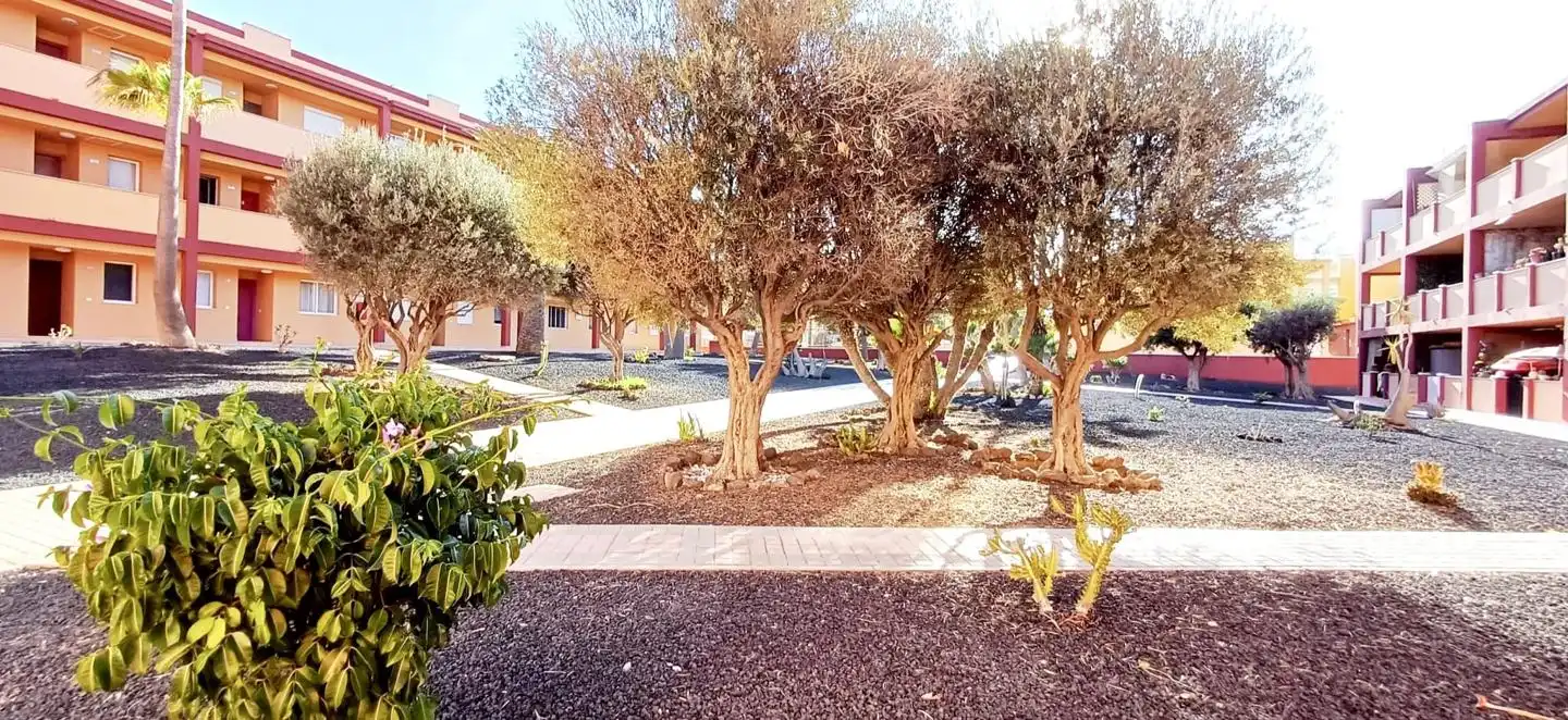 Flat for rent in Calle los Pedruscos, Parque Holandés