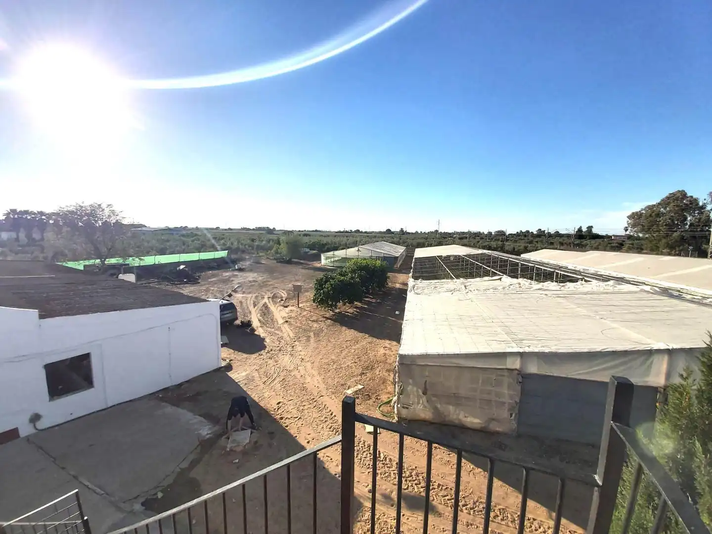 Jardí de Casa o xalet en venda en Utrera
