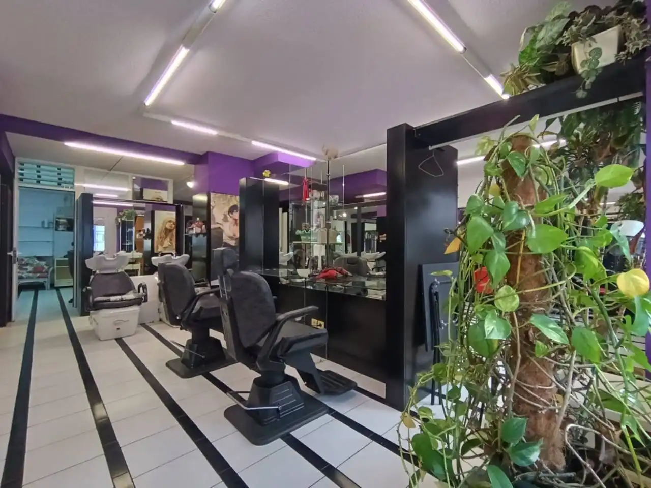 Local comercial en venta en Avenida Derechos Humanos, imagen 13