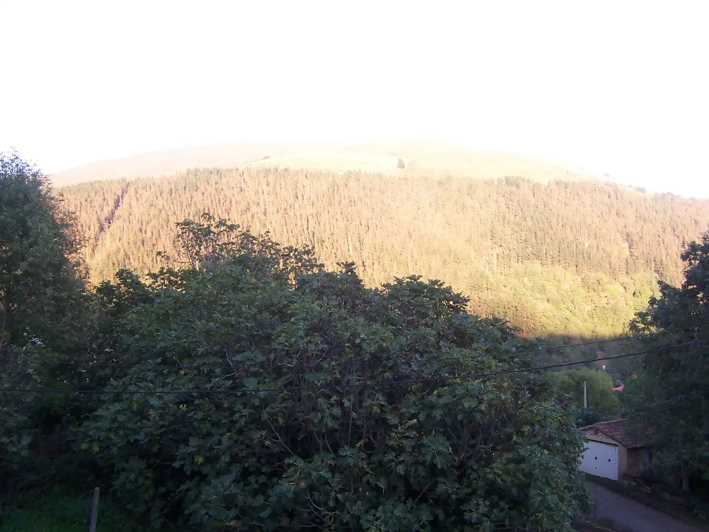 Casa o xalet en venda en Luena  amb Jardí privat, Terrassa i Moblat