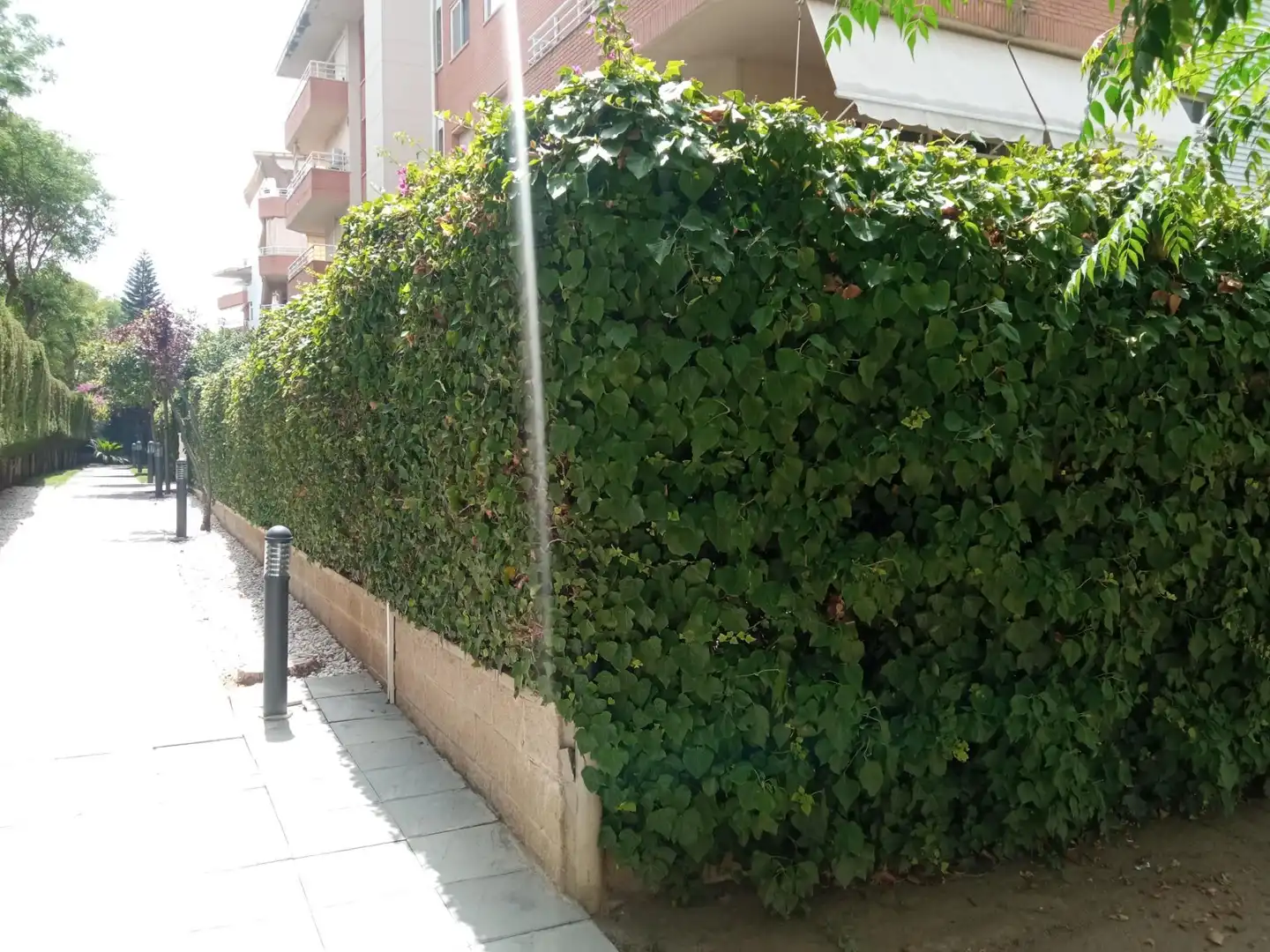 Appartamento con piscina in vendita a Centre, imagen 34