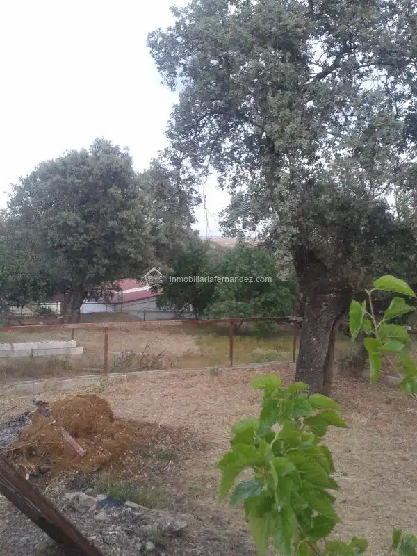 Chalet en venta en Casar de Cáceres, imagen 12
