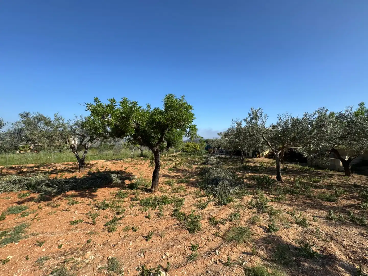 Maison rustique avec piscine à vendre à Benissa pueblo, imagen 20