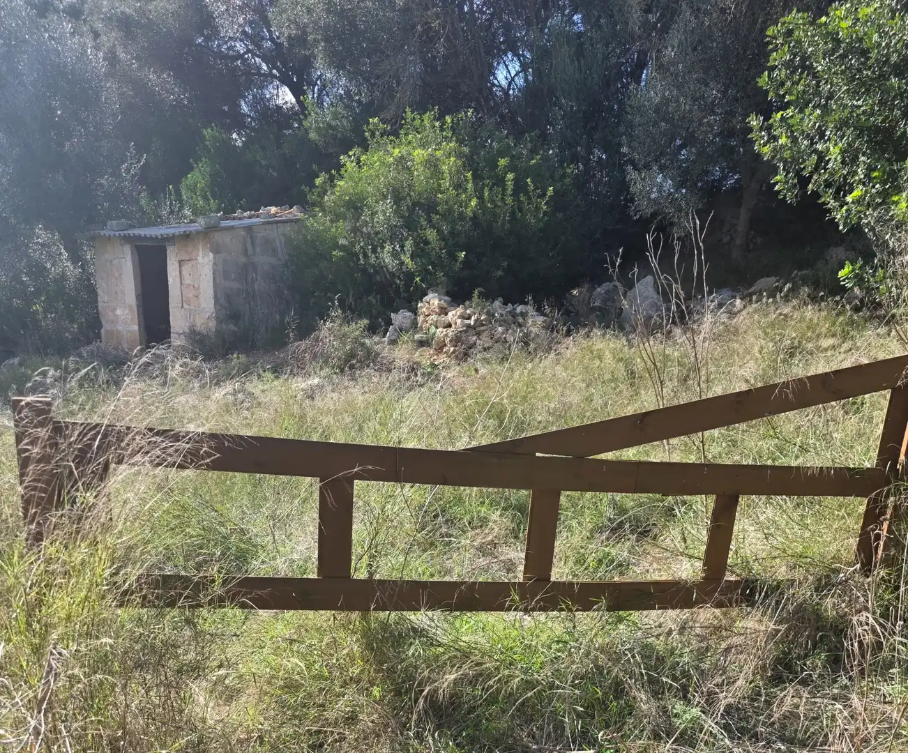 Rustikales Grundstück zum Verkauf in Camí de Son Dalmau 2