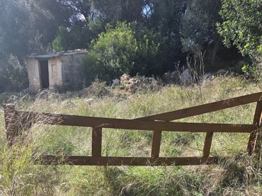 Terreno rústico en venta en Camí de Son Dalmau 2