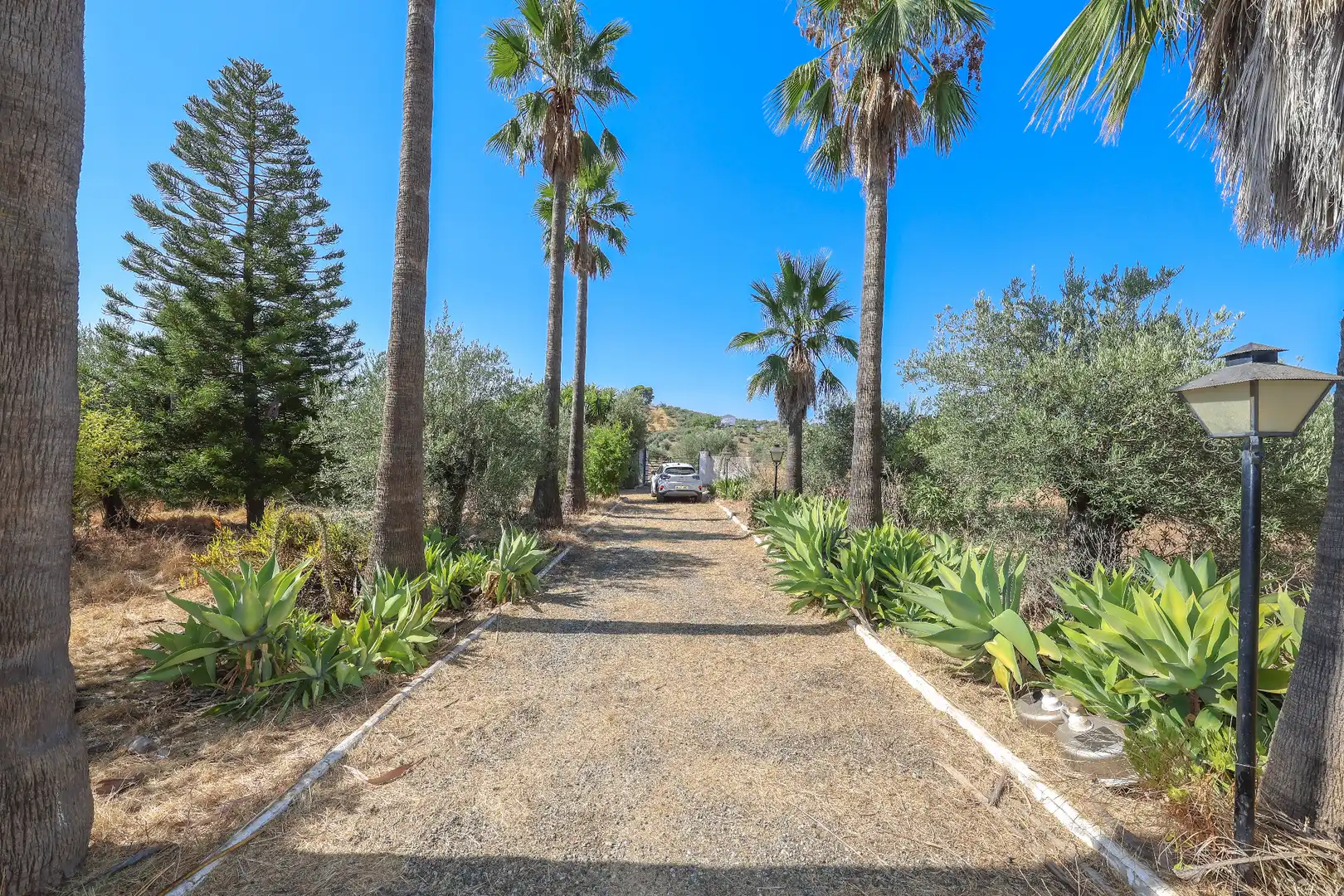Vista exterior de Casa o xalet en venda en Casarabonela amb Jardí privat