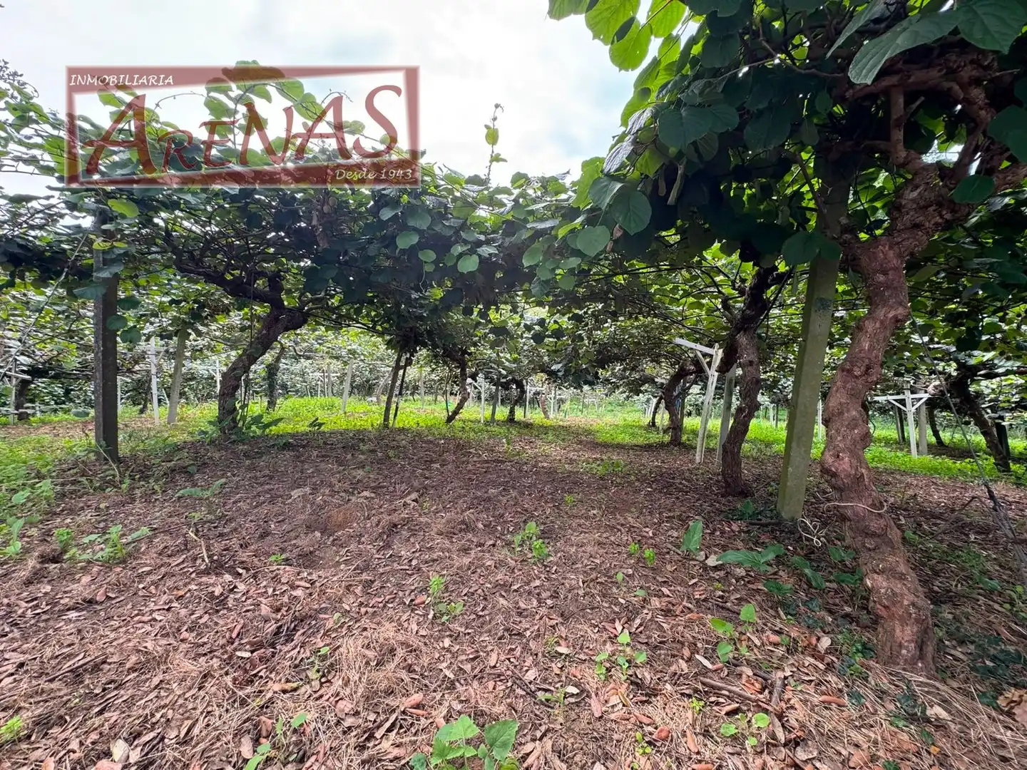 Land for sale in Marina de Cudeyo