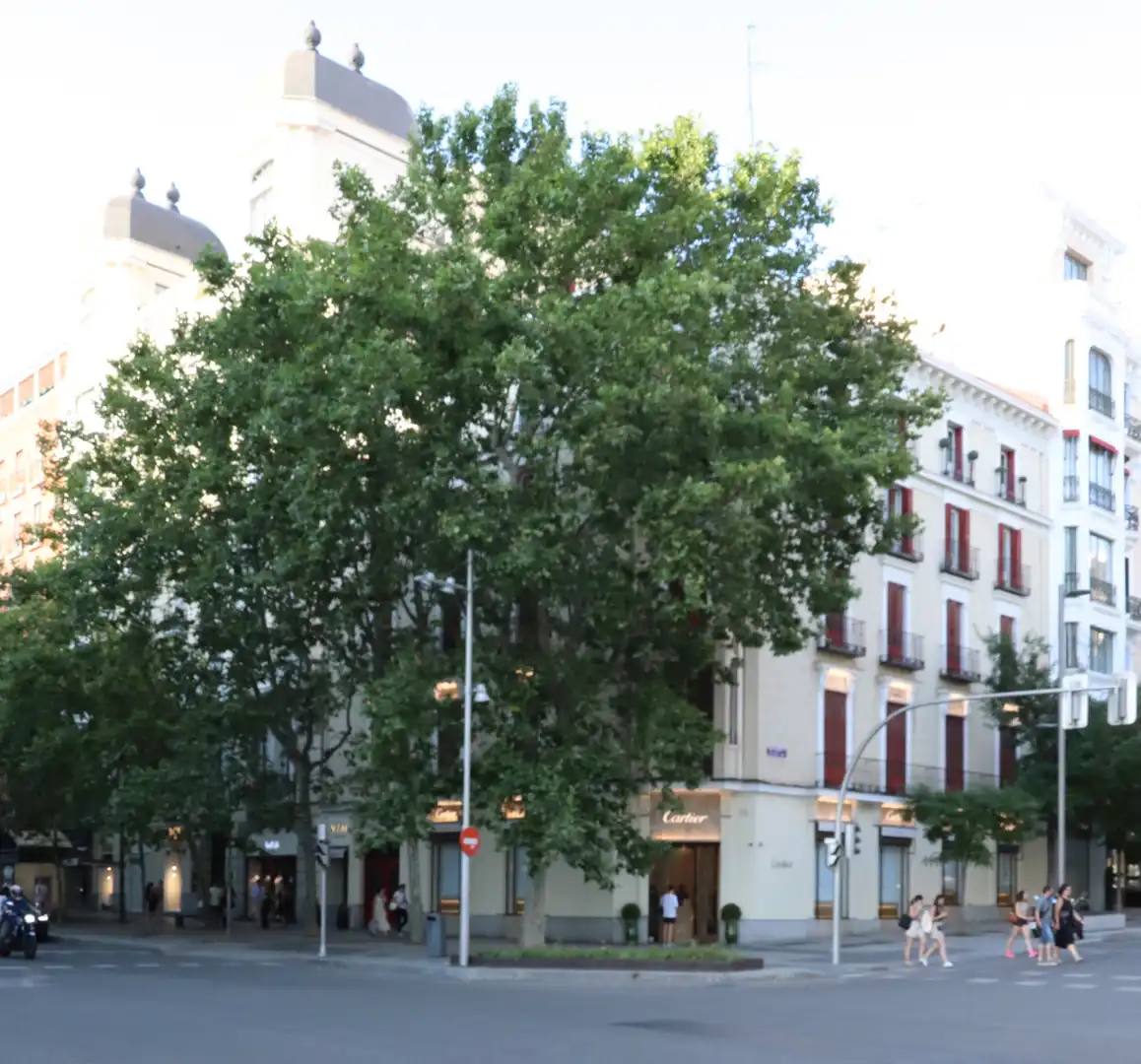 Appartement avec ascenseur à vendre à Barrio de Salamanca, imagen 4