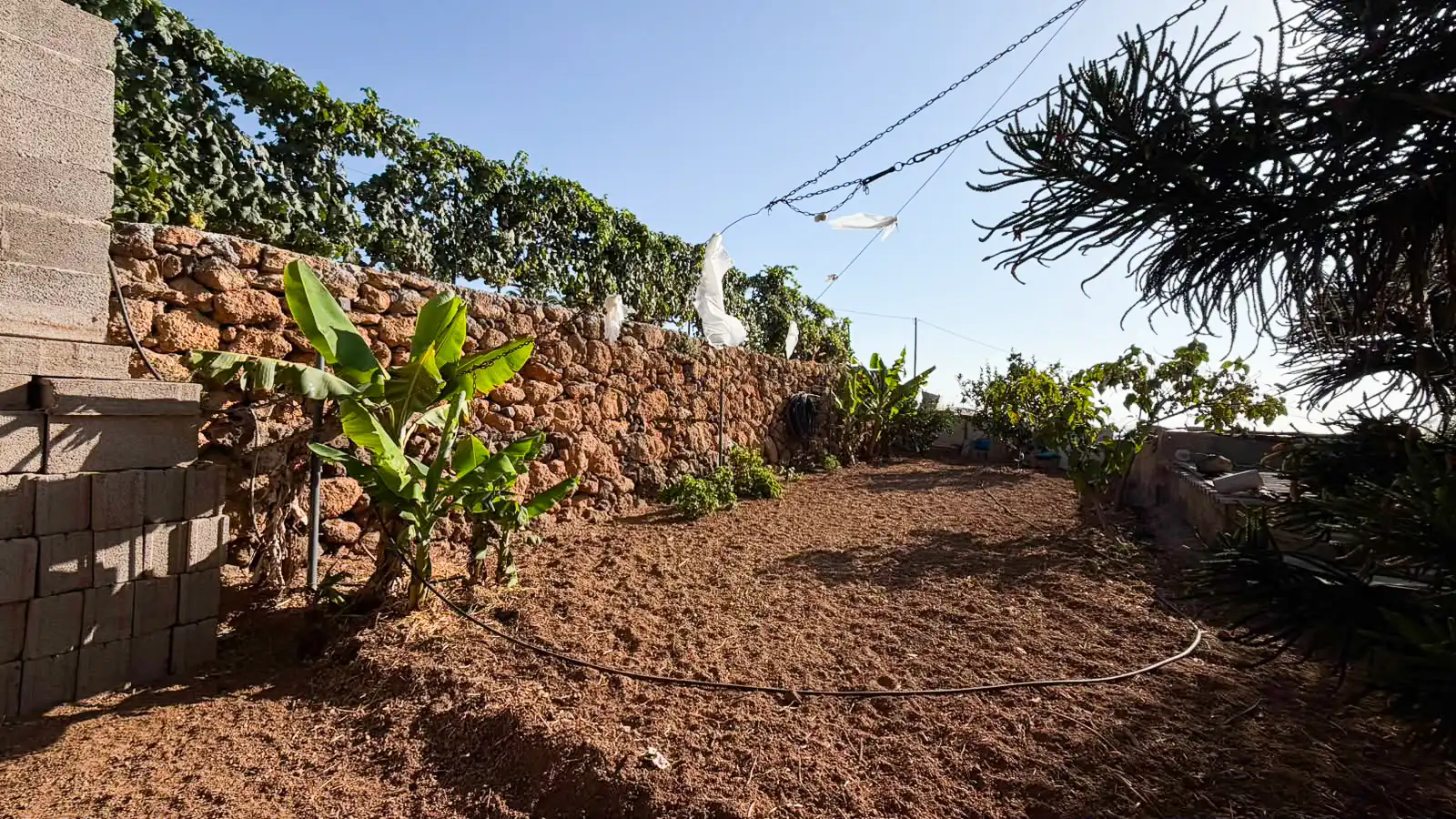 Rural land for sale in Arafo, imagen 6