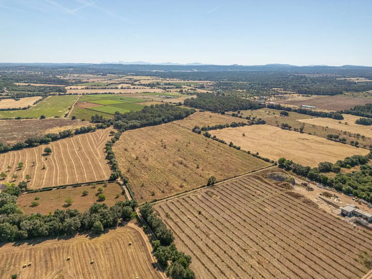 Rural land for sale in Sencelles, imagen 10