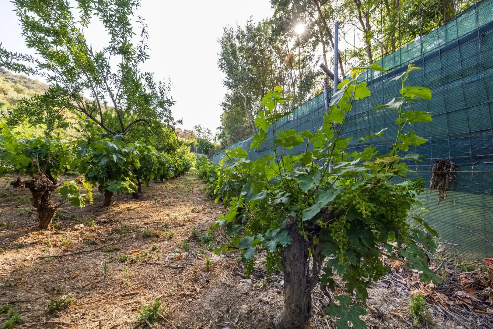 Terreni e lotti in vendita a Paseo la Duquesa 7, imagen 18