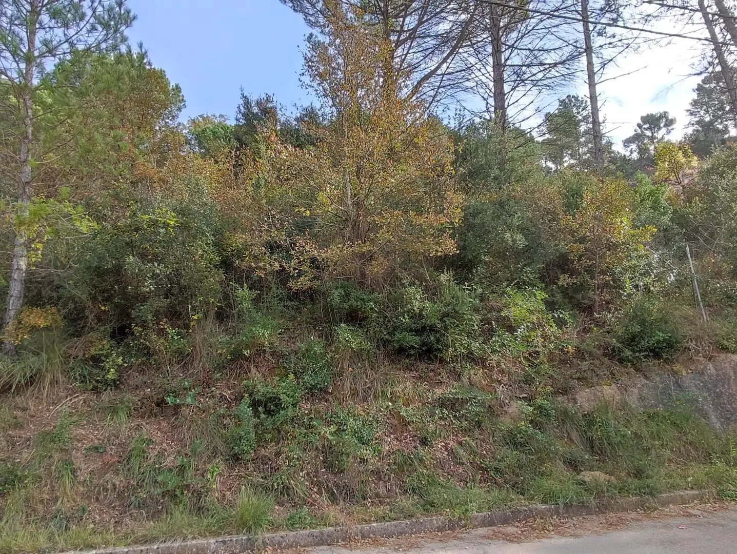 Terrain rustique à vendre à Monistrol de Calders, imagen 3