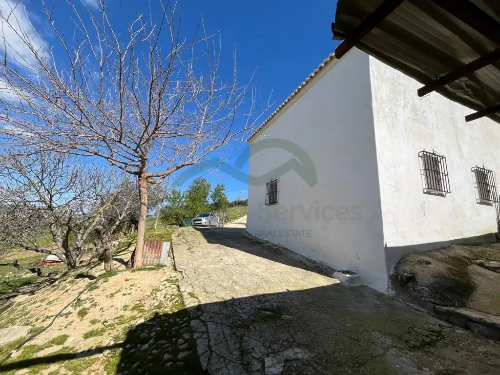 Vista exterior de Finca rústica en venda en Ronda