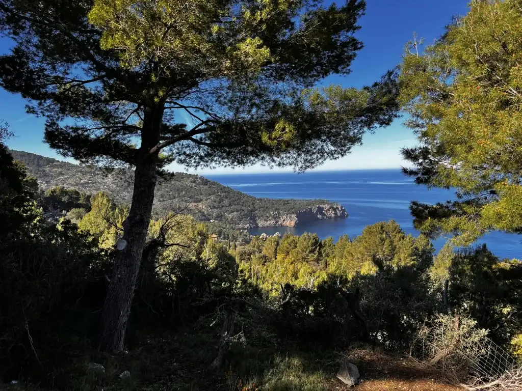 Exterior view of Country homes for sale in Deià  with Private garden, Terrace and Storage room