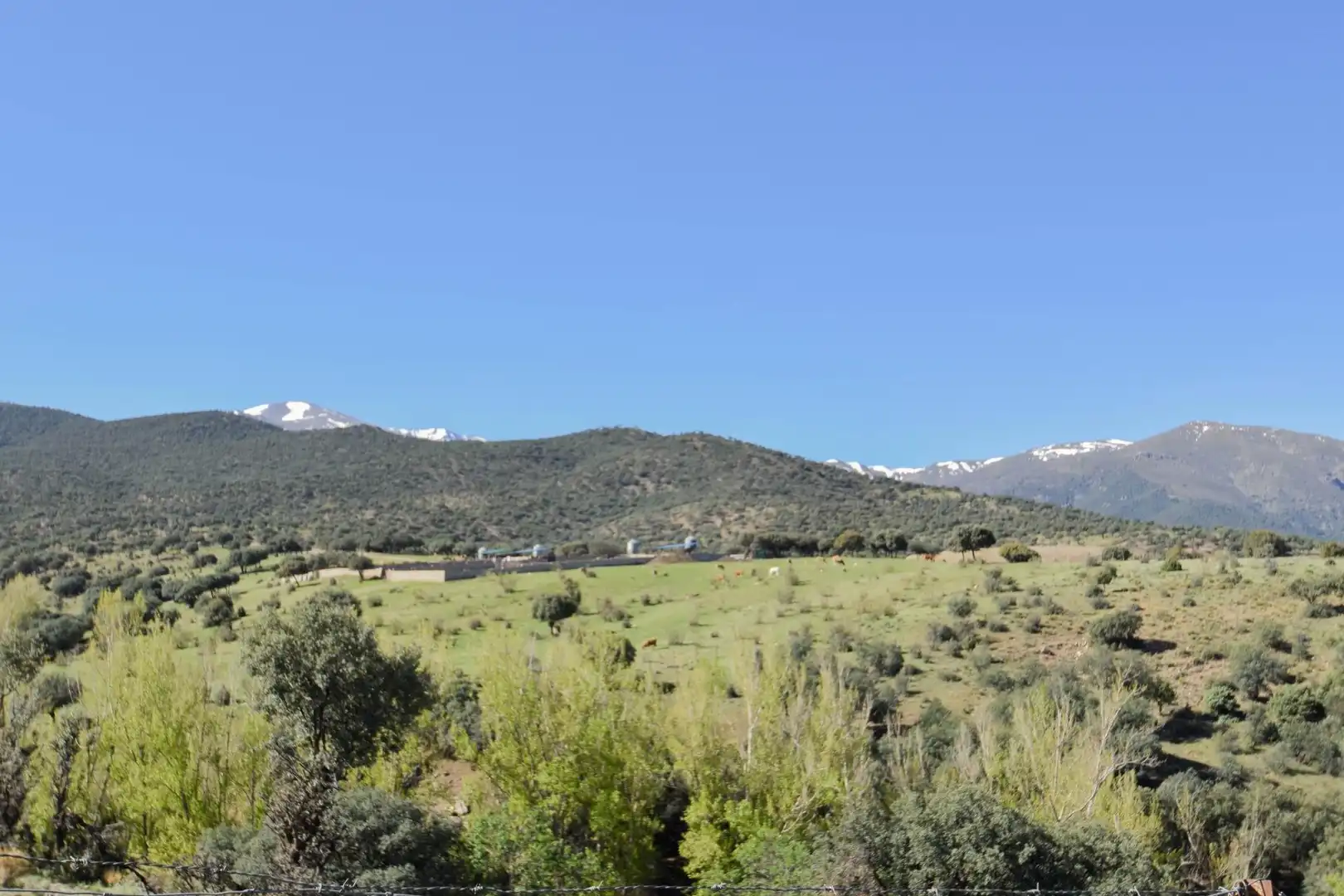 Terreno en venta en Paraje de las Perdices, Lugros