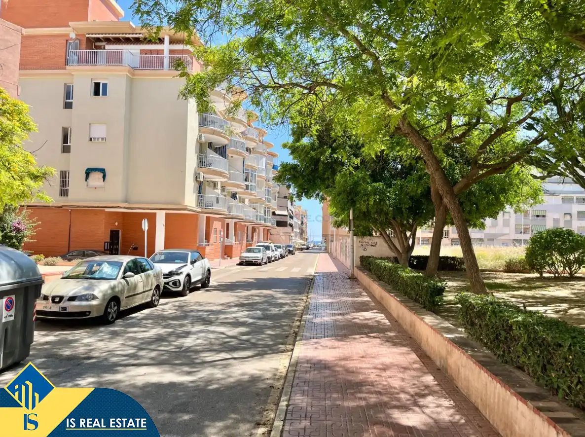 Studio à vendre à La Mata, imagen 25