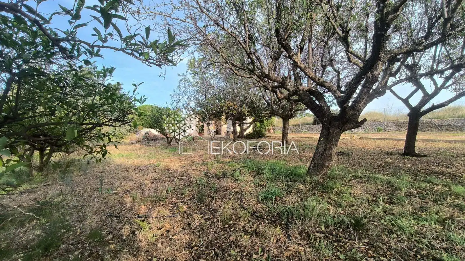 Casa amb piscina en venda a Olimar - Carambolo - Atalaya de Levante, imagen 40