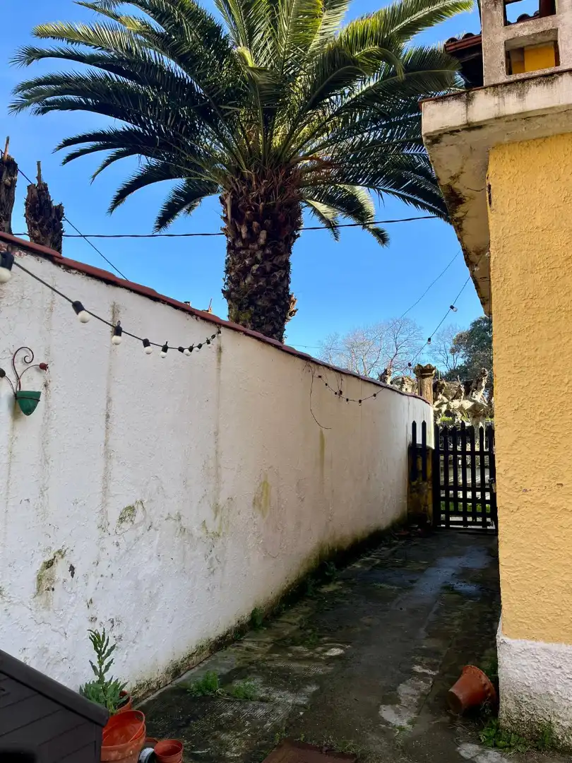Vista exterior de Casa o xalet en venda en Castrillón amb Calefacció, Jardí privat i Terrassa