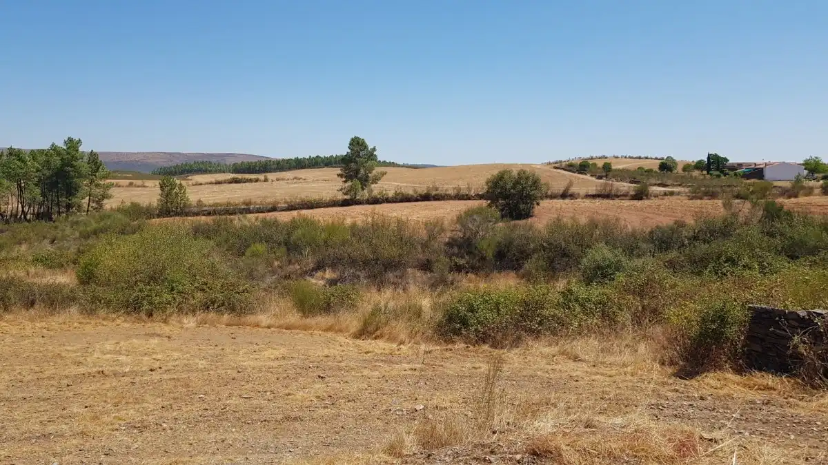 Finca rústica en venta en La Codosera