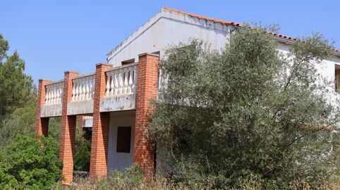 Foto 2 de Finca rústica en venda a Vall d'Alba, Castellón