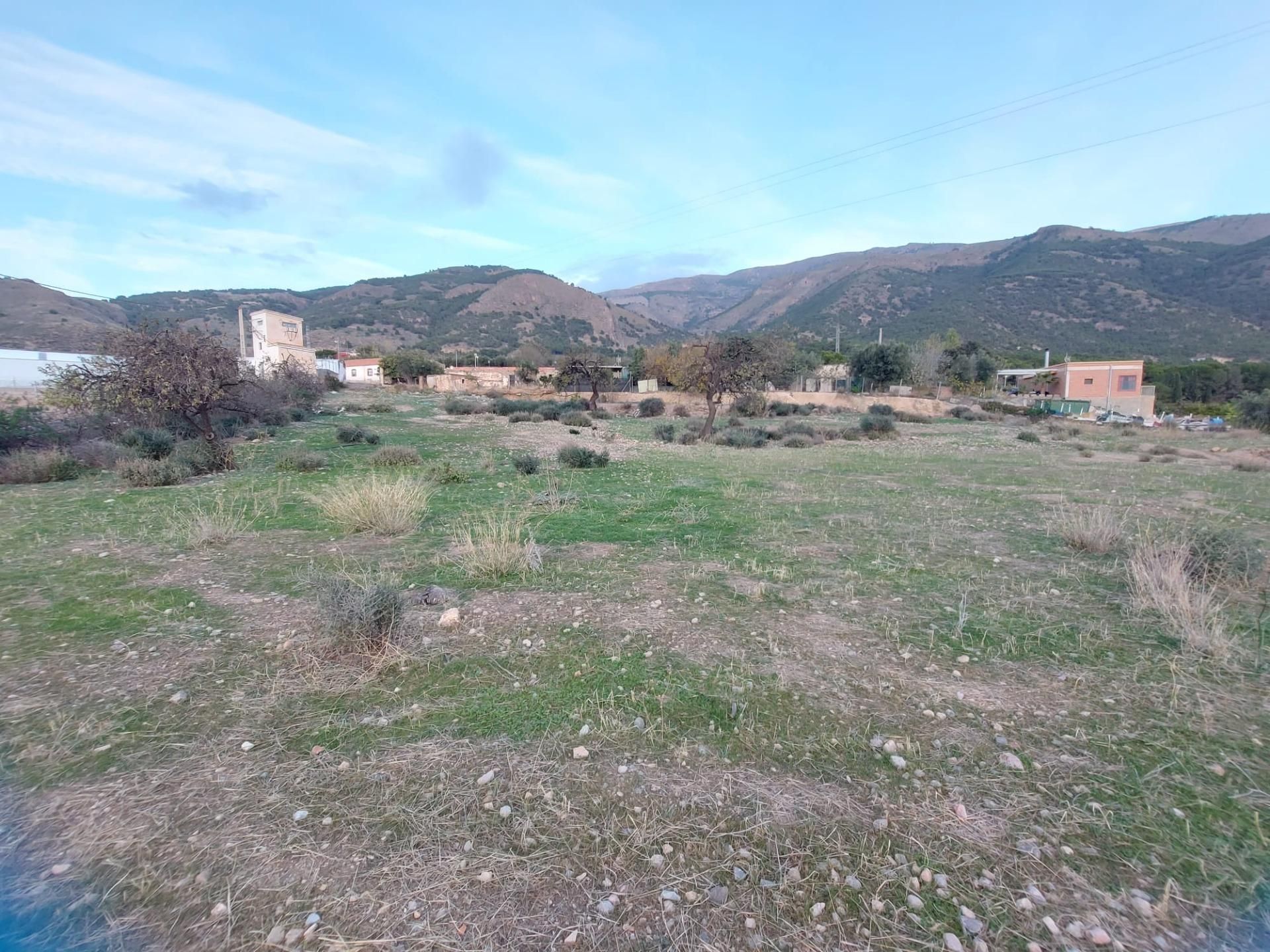 Terreny industrial en venda a Berja