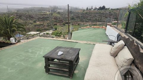 Foto 2 de Estudi de lloguer a Principal Cruz de Tea, Cruz de Tea, Granadilla de Abona