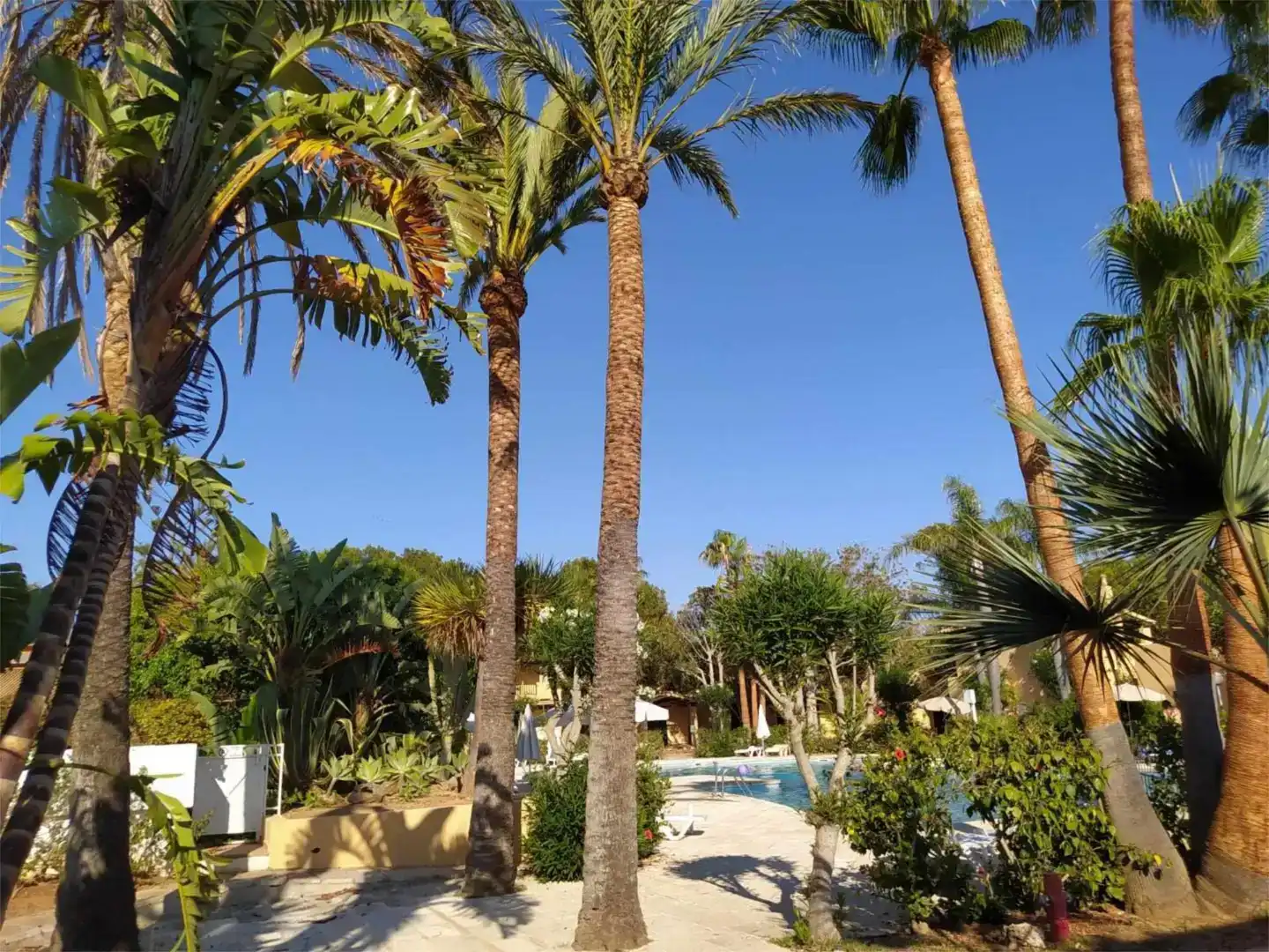 Vista exterior de Casa adosada de lloguer en Ciutadella de Menorca amb Aire condicionat, Jardí privat i Piscina