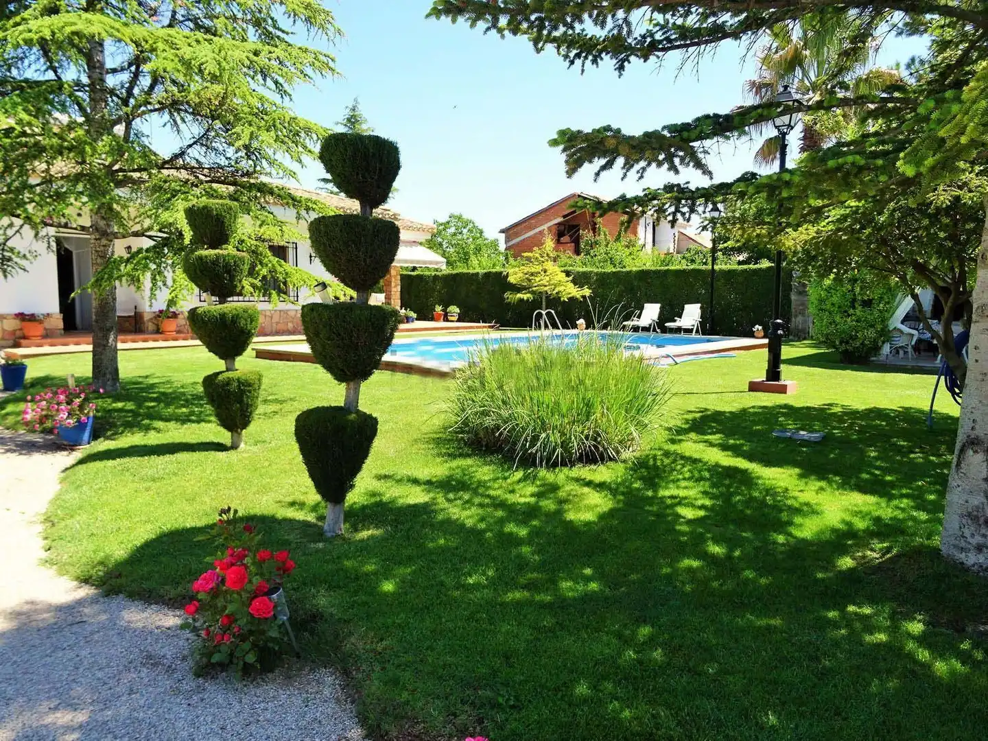 Jardí de Casa o xalet en venda en Albacete amb Aire condicionat, Jardí privat i Terrassa
