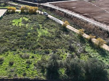 Lands and plots for sale in Los Perros ( Los Palacios)